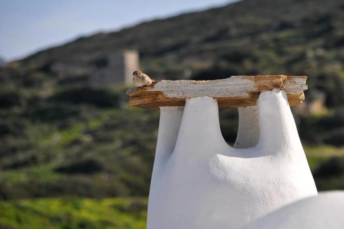 Belogna Ikons - Hotel Photo 41