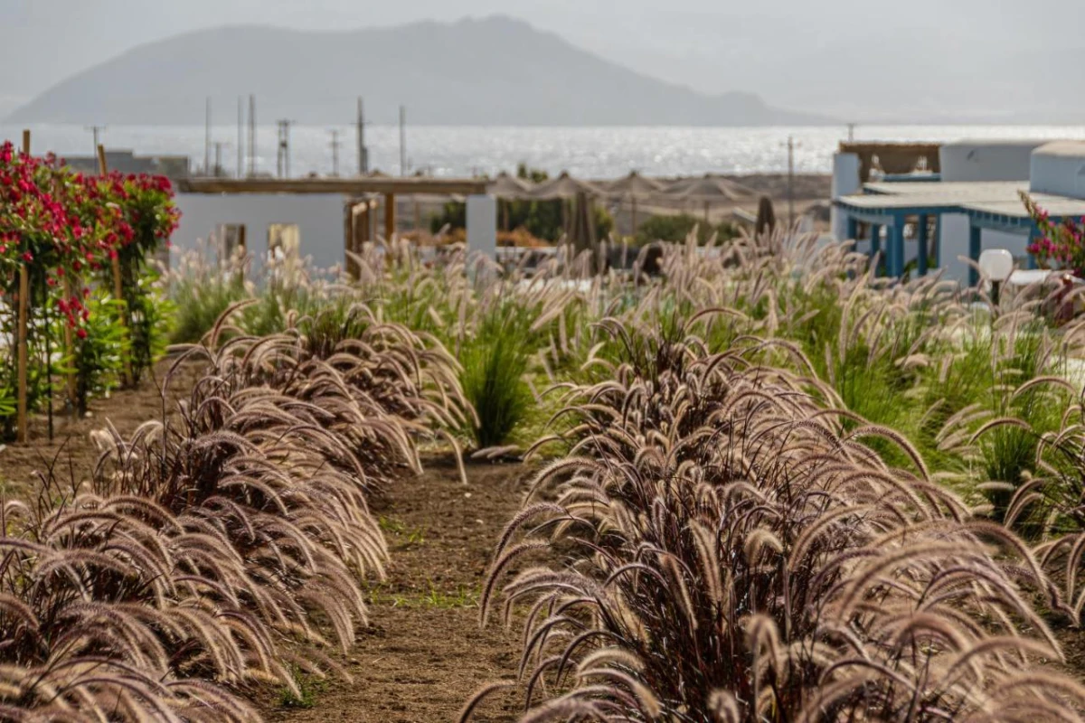 Lianos Village - Hotel Photo 65