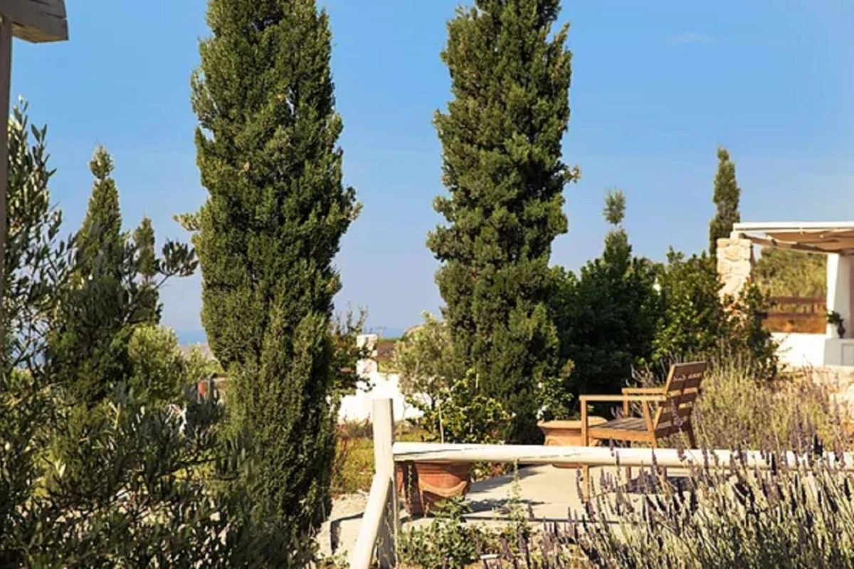 Christou Estate - Hotel Photo 10