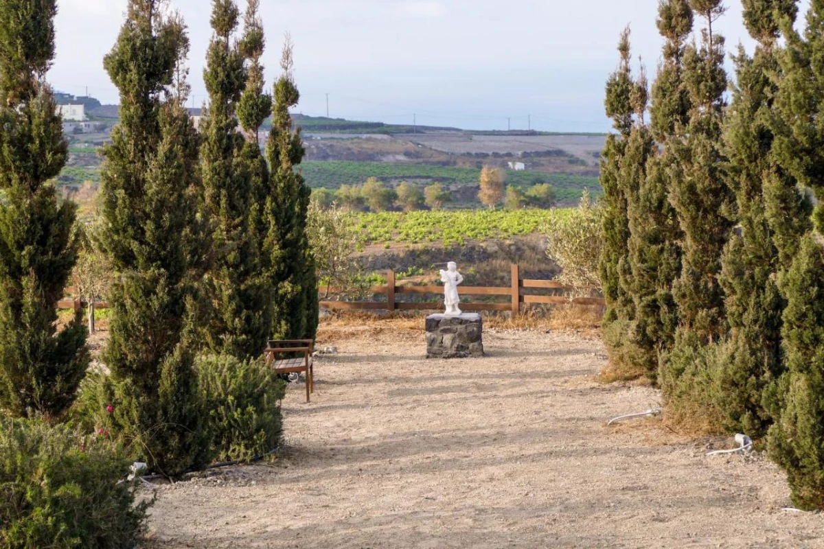 Christou Estate - Hotel Photo 49