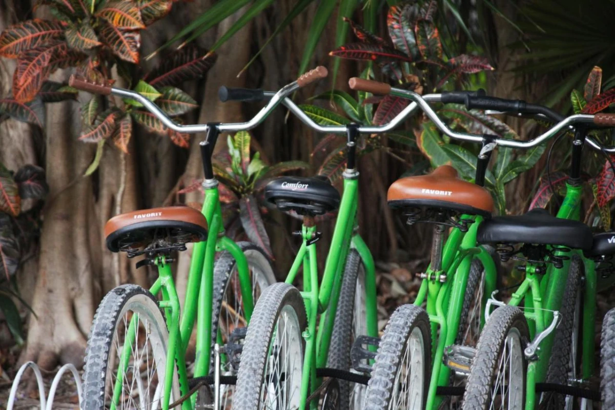 Sandos Caracol Eco Resort Select Club - Hotel Photo 17