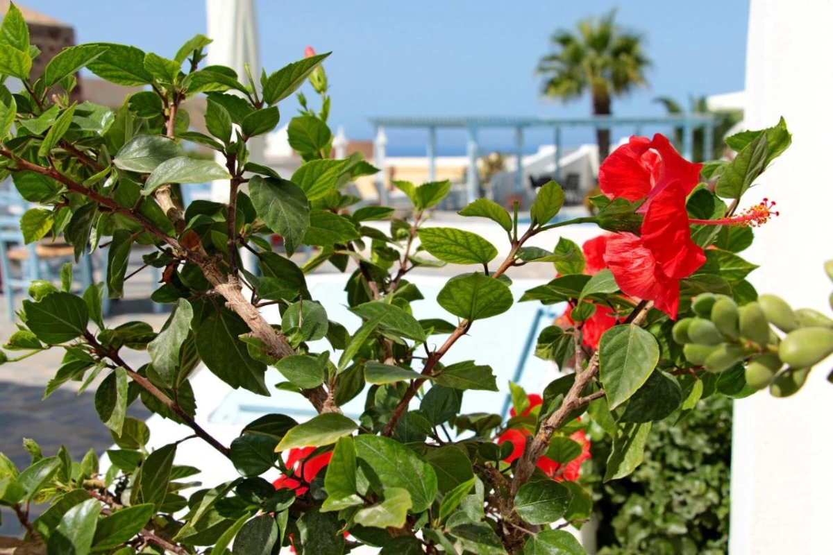 Aethrio Sunset Village - Hotel Photo 12