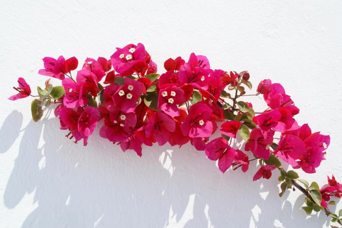 Aethrio Sunset Village - Hotel Photo 13