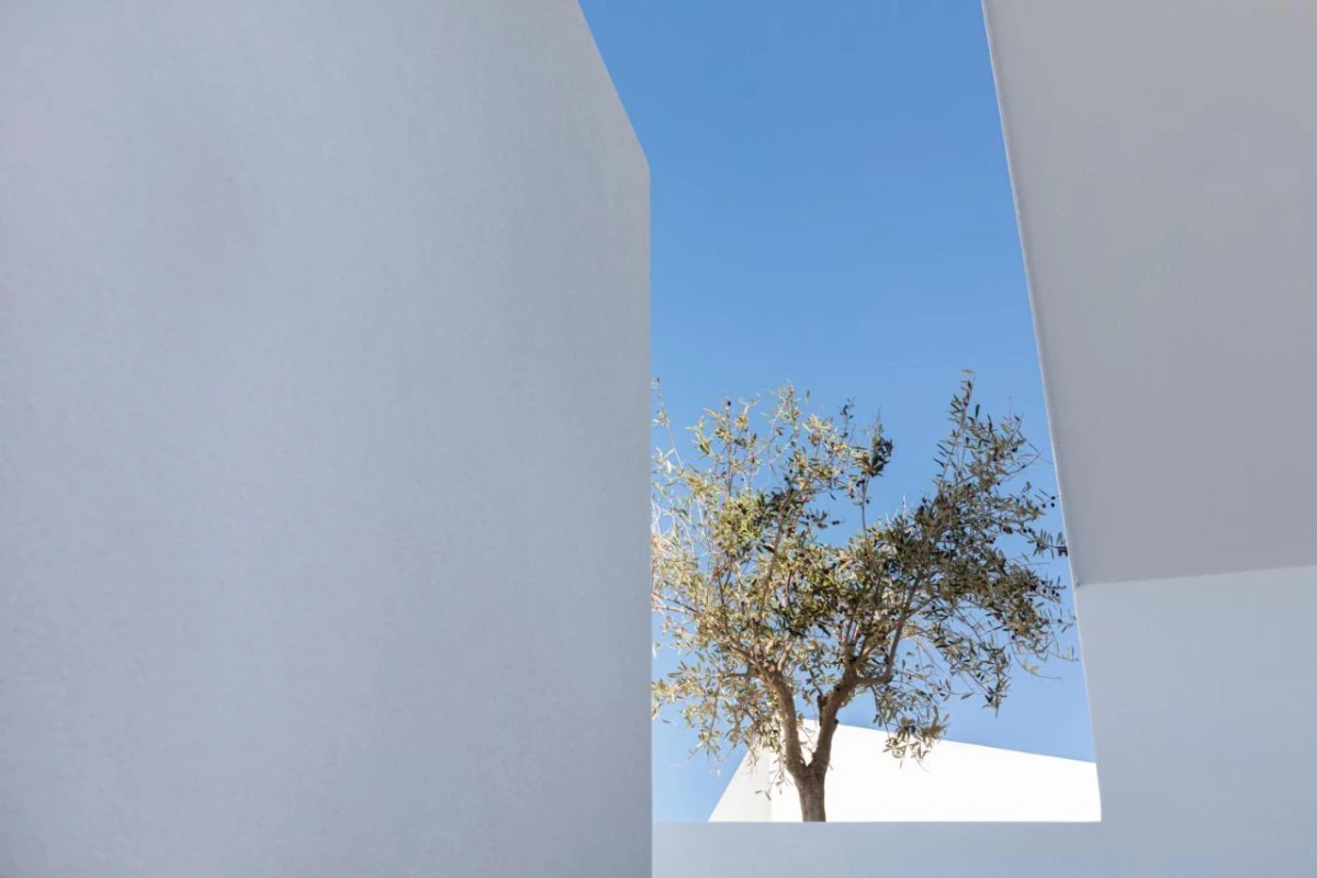 Phos Milos - Hotel Photo 26