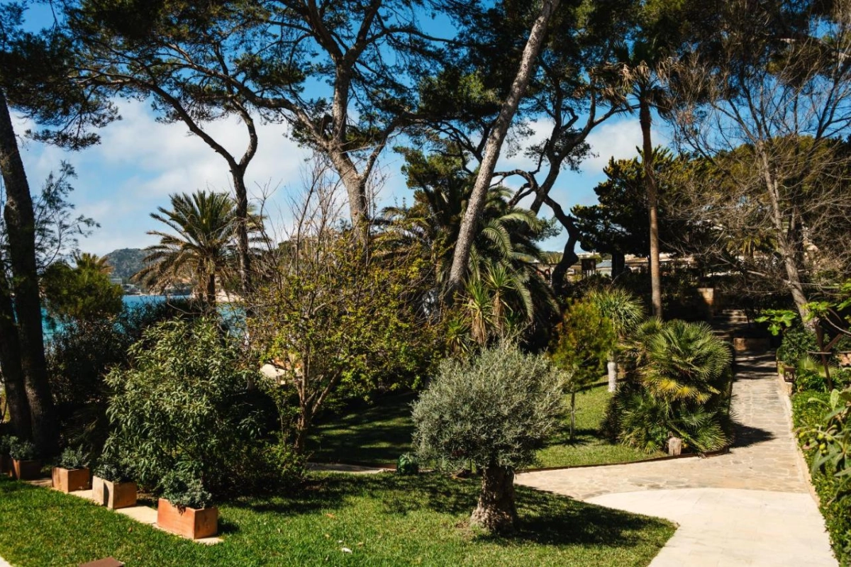Secrets Mallorca Villamil Resort & Spa - Hotel Photo 24