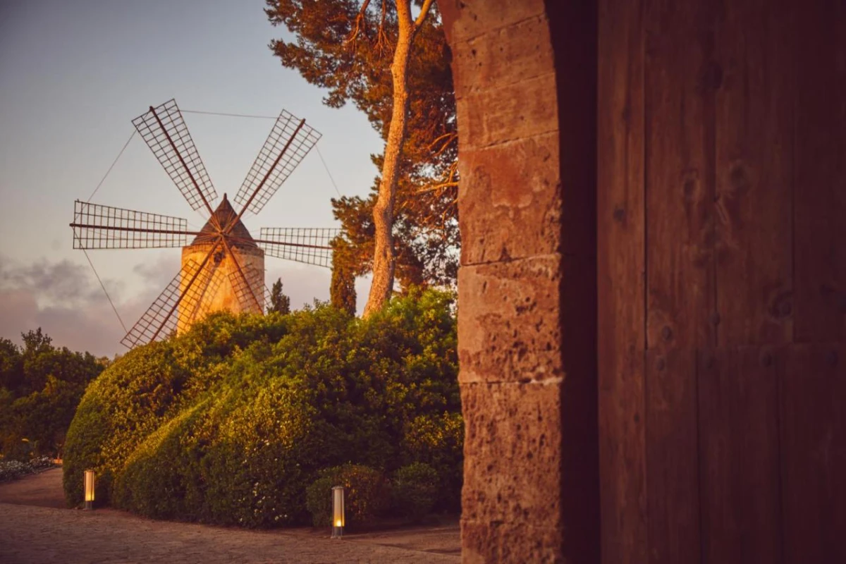 Zoetry Mallorca - Hotel Photo 27