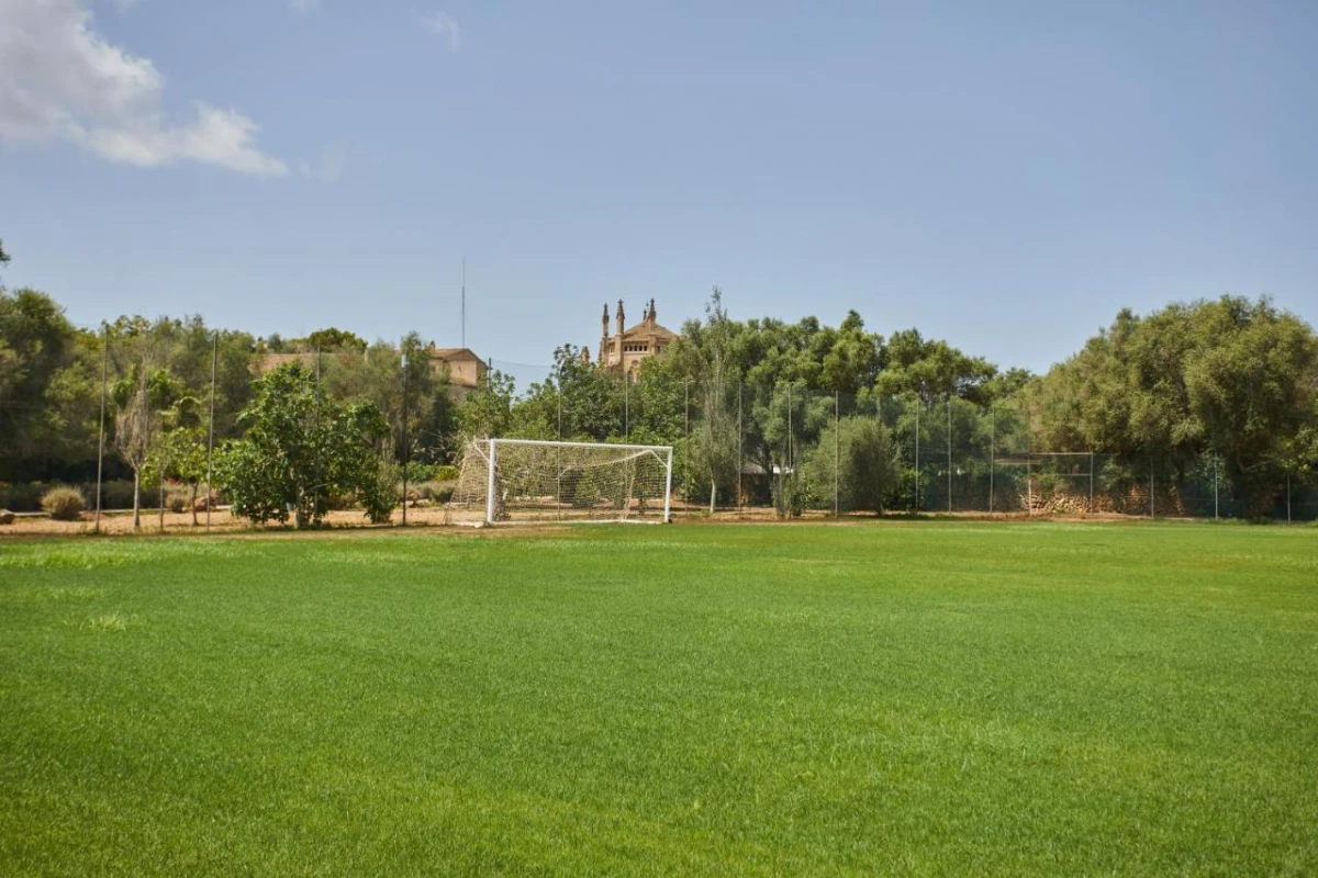 Zoetry Mallorca - Hotel Photo 56