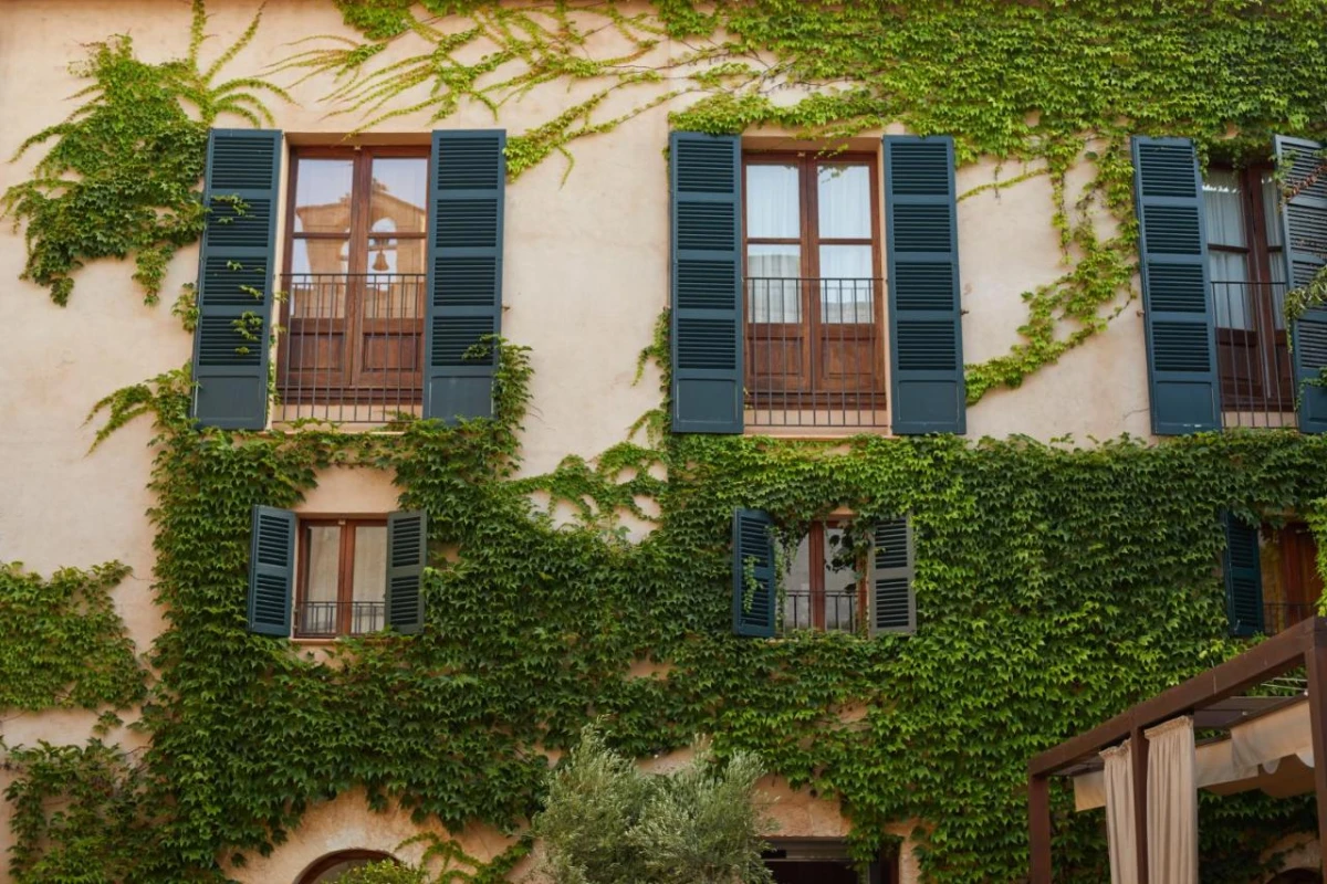 Zoetry Mallorca - Hotel Photo 58