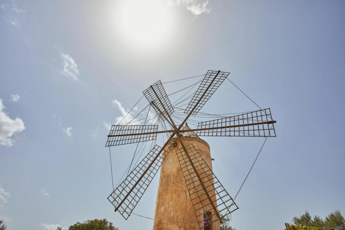 Zoetry Mallorca - Hotel Photo 64