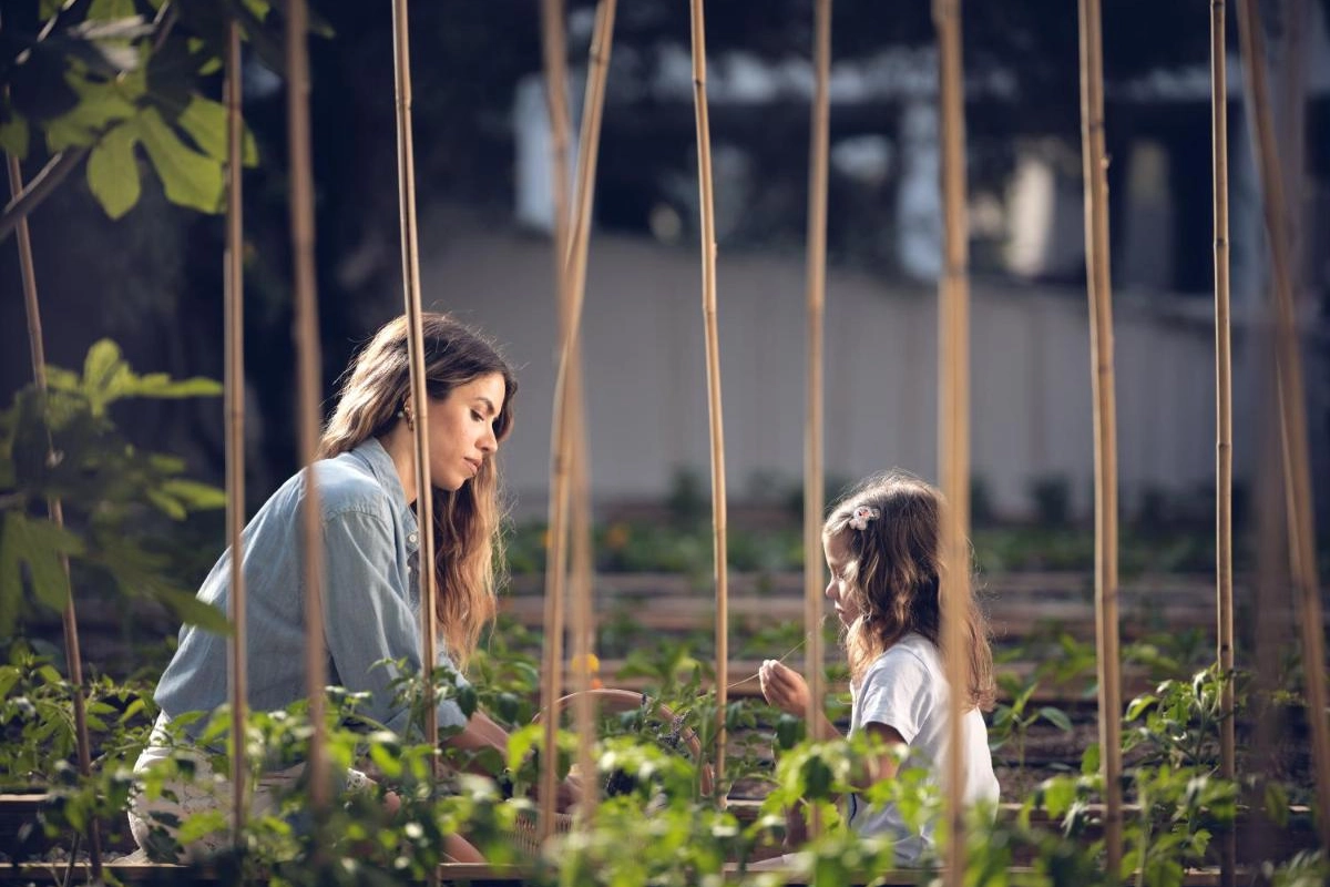 Contessina Hotel Zakynthos - Hotel Photo 64