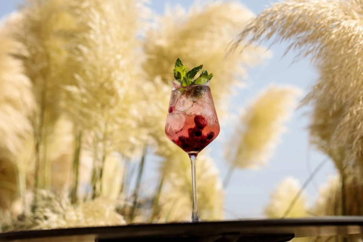 Eden Beachfront Residences & Suites - Hotel Photo 49