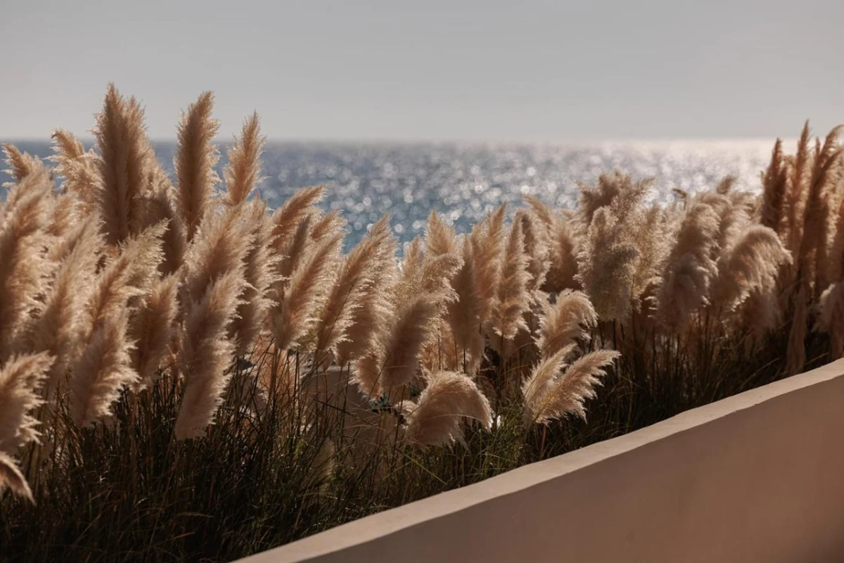 Eden Beachfront Residences & Suites - Hotel Photo 73