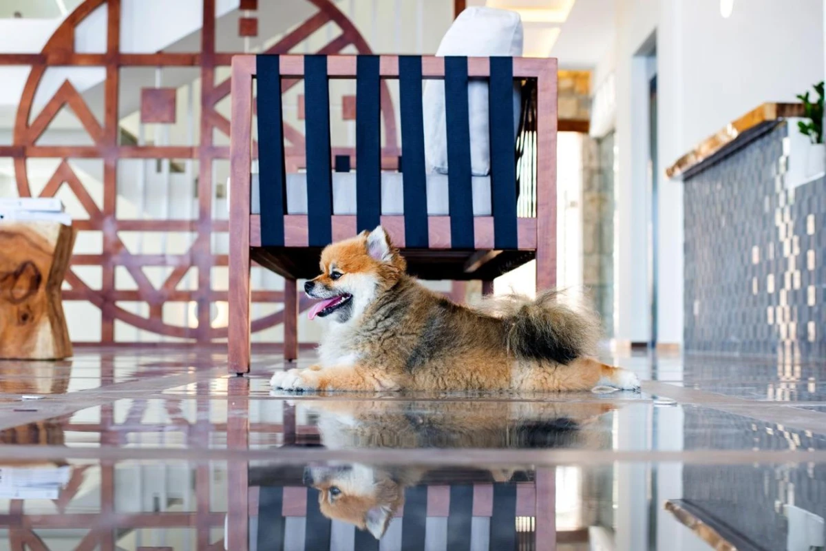 Aliv Stone Suites & Spa - Hotel Photo 28