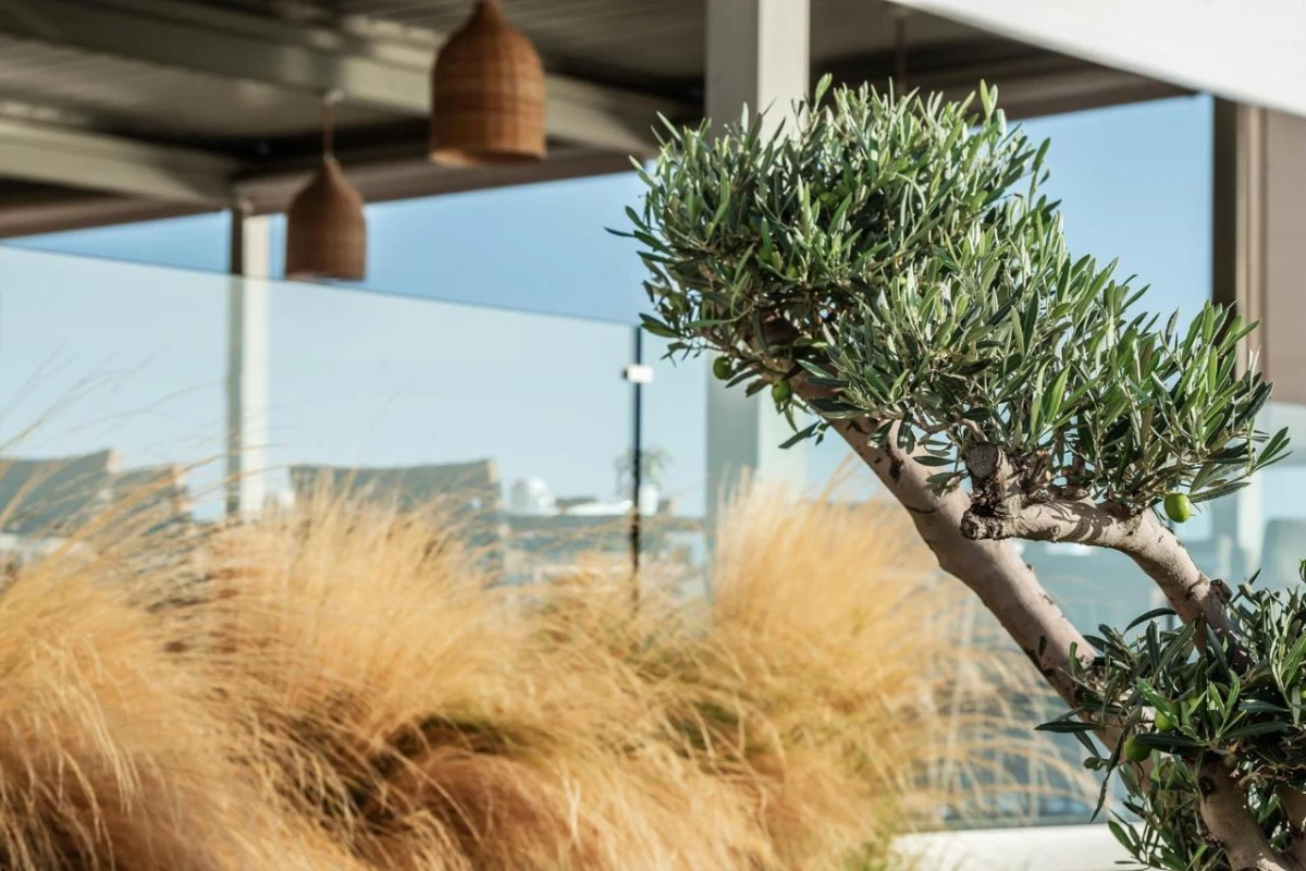 Aliv Stone Suites & Spa - Hotel Photo 49