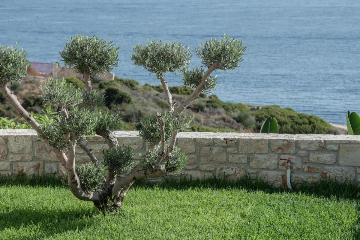 Aliv Stone Suites & Spa - Hotel Photo 50