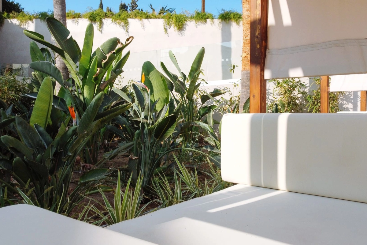 Cavo Zoe Seaside Hotel - Hotel Photo 6