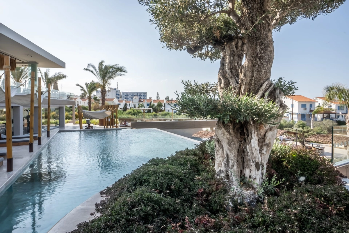 Cavo Zoe Seaside Hotel - Hotel Photo 29