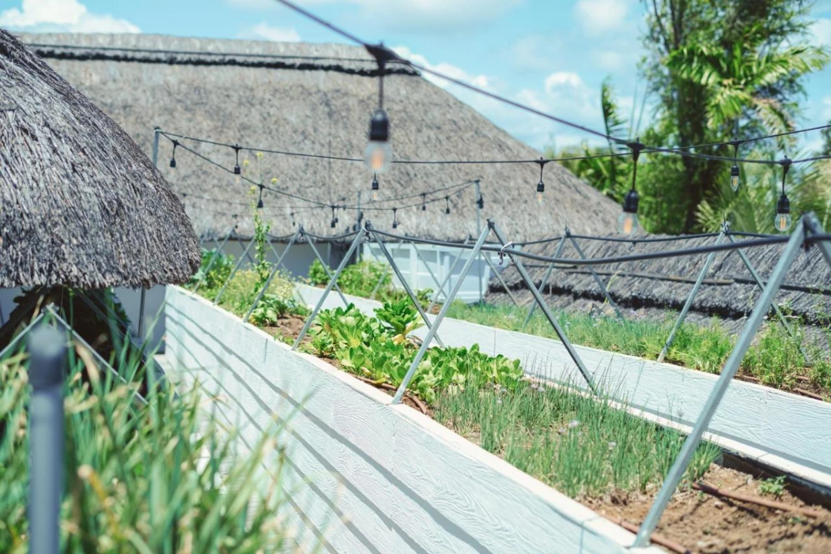 La Maison 20 Degres Sud Boutique Hotel - Hotel Photo 17