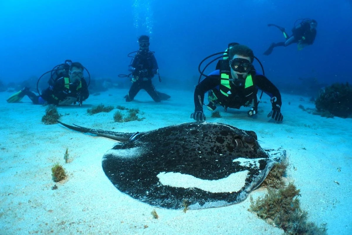 La Pirogue - Hotel Photo 16