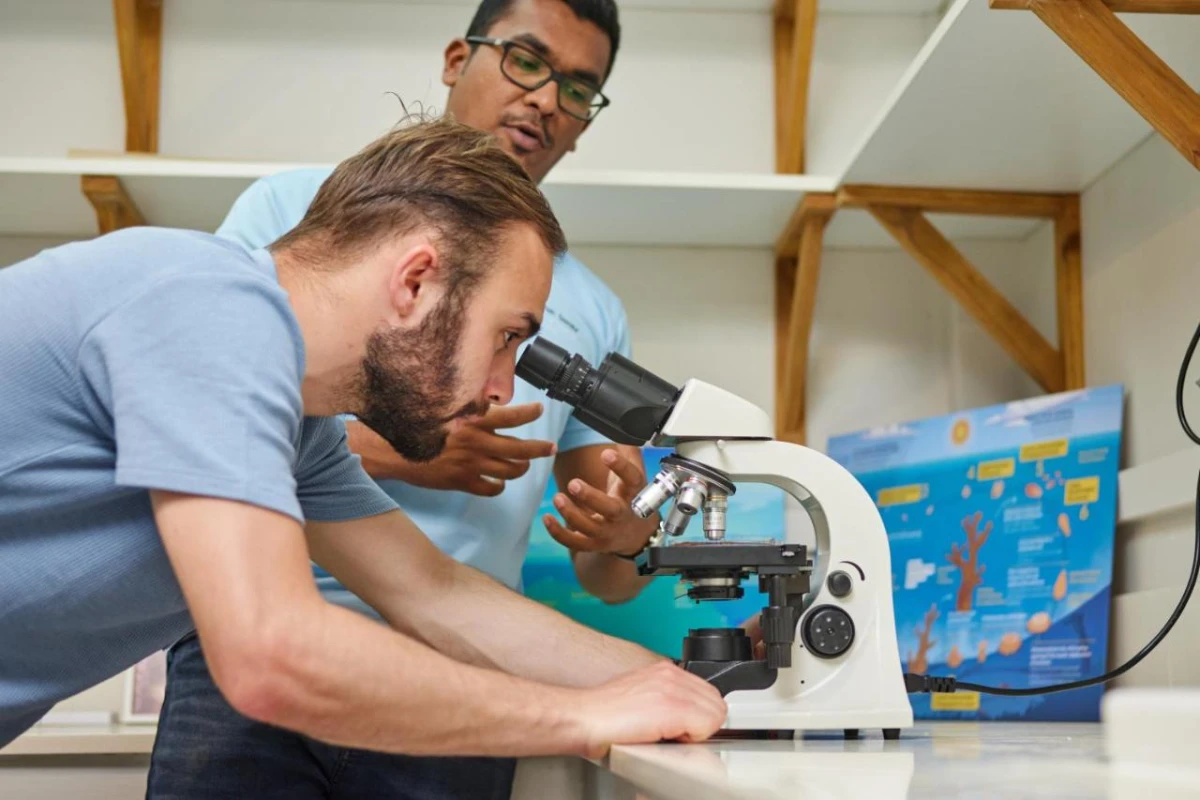 Lagoon Attitude - Hotel Photo 70