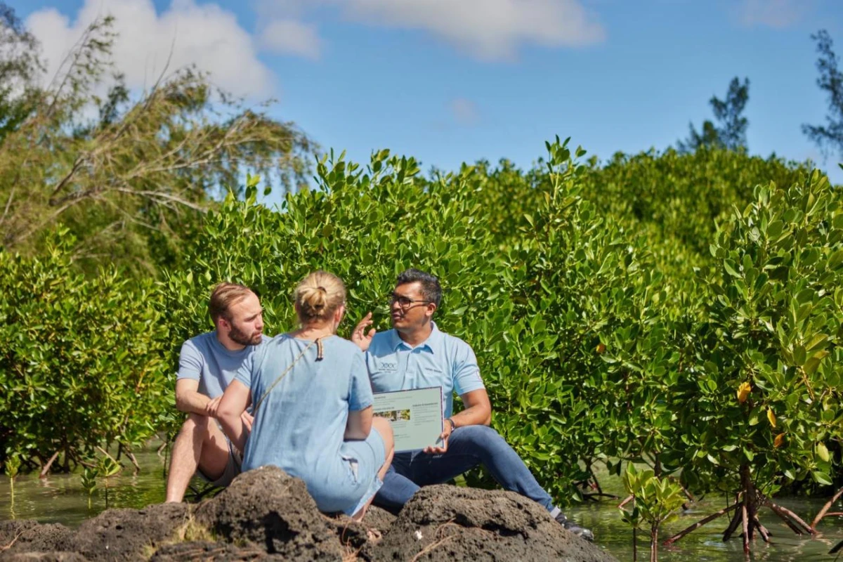 Lagoon Attitude - Hotel Photo 76