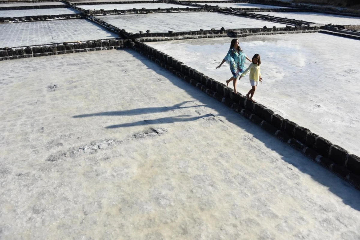 Veranda Tamarin - Hotel Photo 29