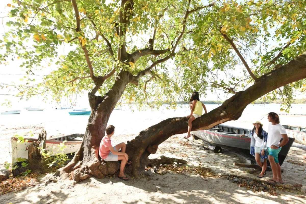 Veranda Tamarin - Hotel Photo 34