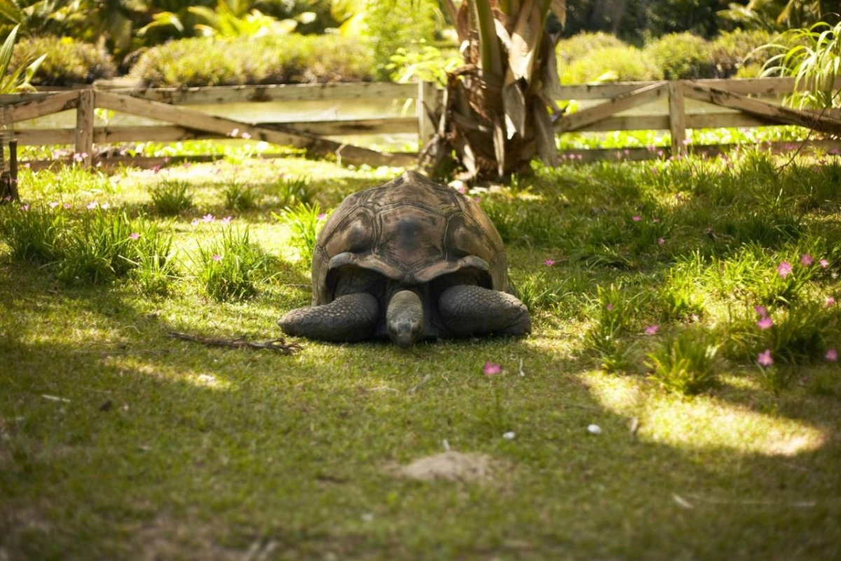 Hilton Seychelles Labriz Resort & Spa - Hotel Photo 15