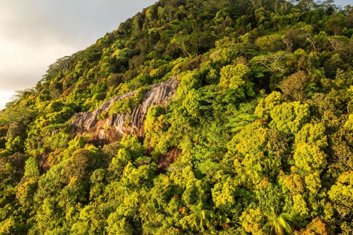 Hilton Seychelles Labriz Resort & Spa - Hotel Photo 22