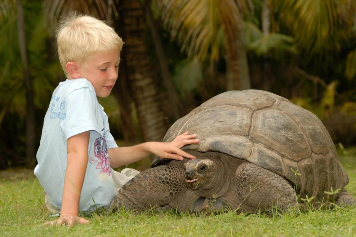 Savoy Seychelles Resort & Spa - Hotel Photo 61