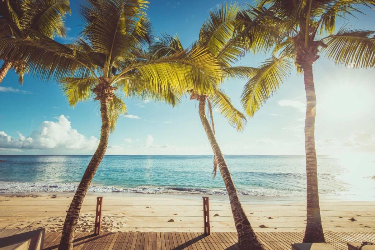 Carana Beach Hotel - Hotel Photo 40