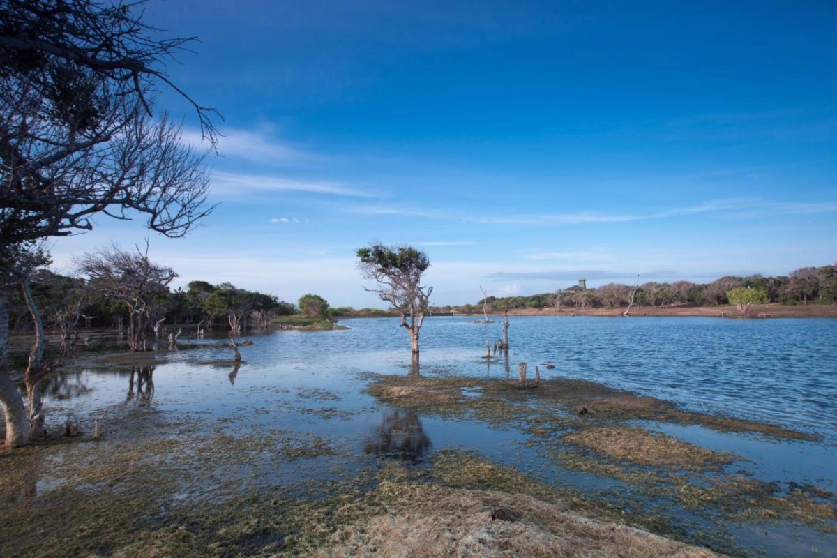 Chena Huts by Uga Escapes - Hotel Photo 26