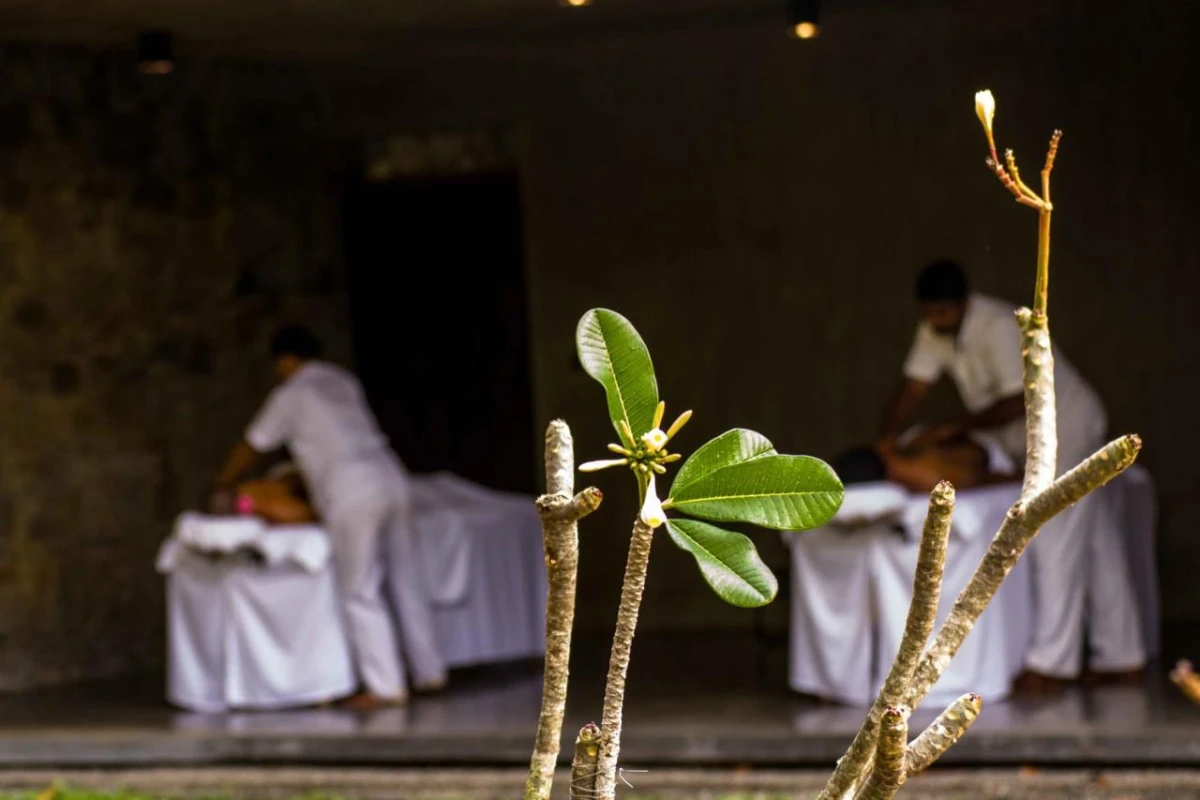 Santani Wellness Kandy - Hotel Photo 52