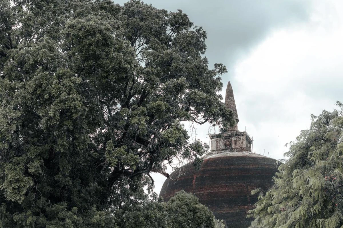 Sun Siyam Pasikudah - Hotel Photo 59