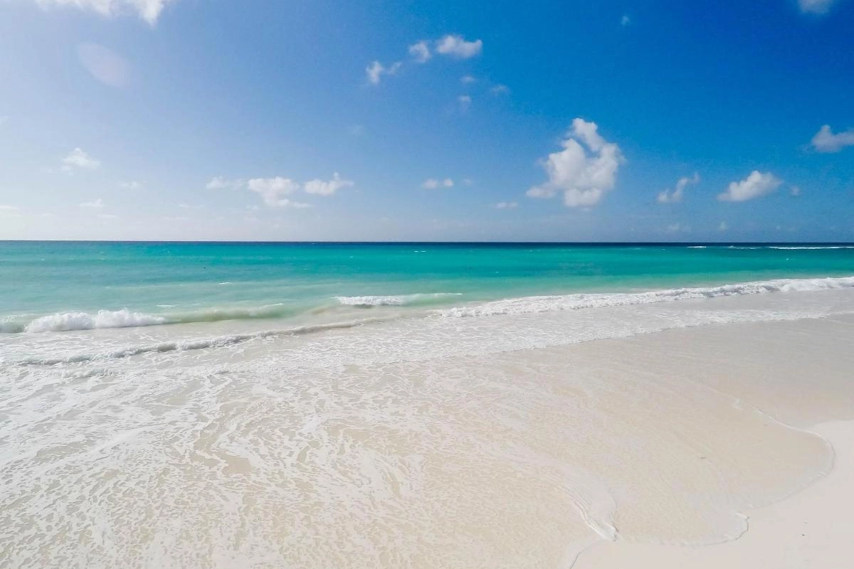 Sea Breeze Beach House - Hotel Photo 49