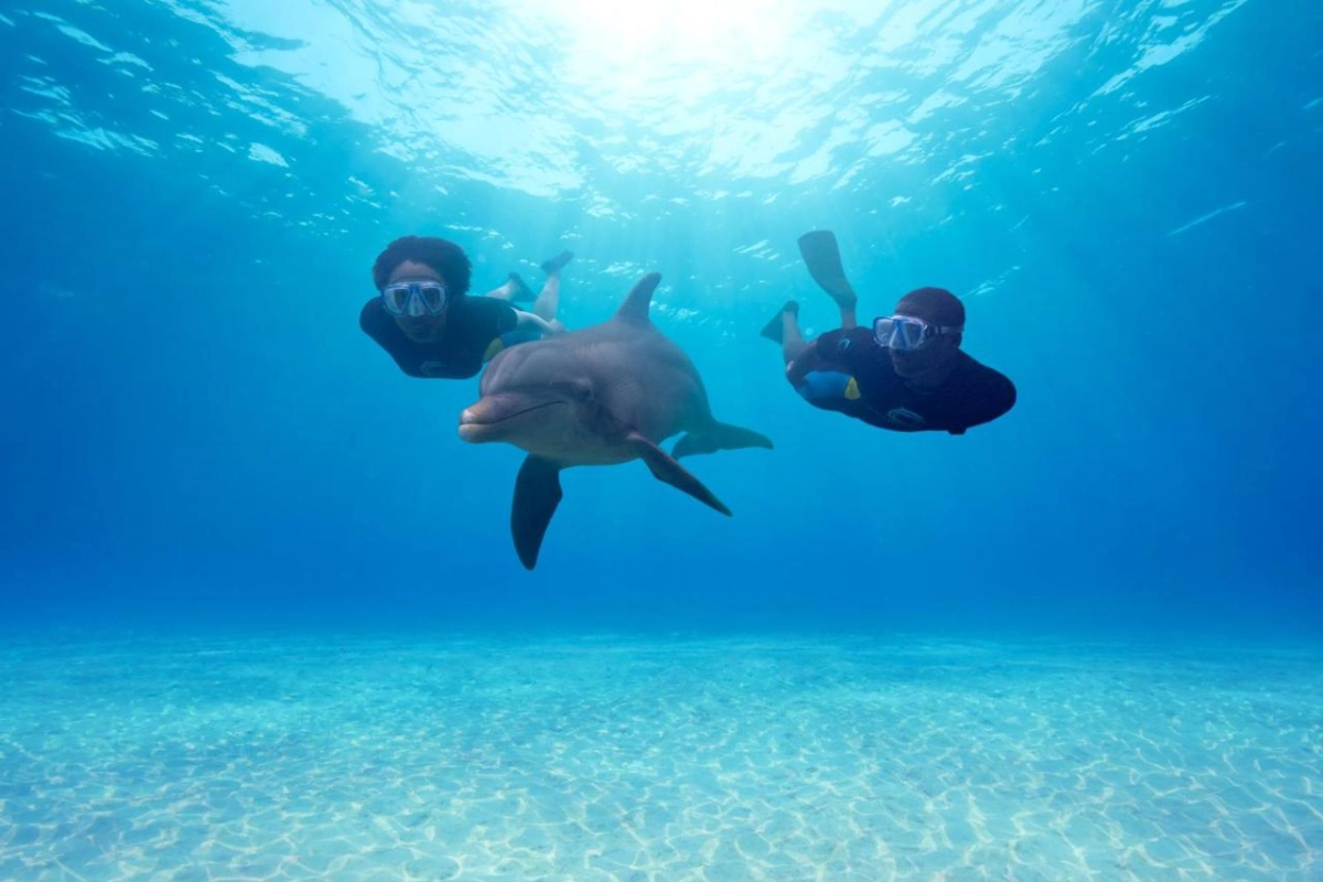 The Reef At Atlantis - Hotel Photo 19