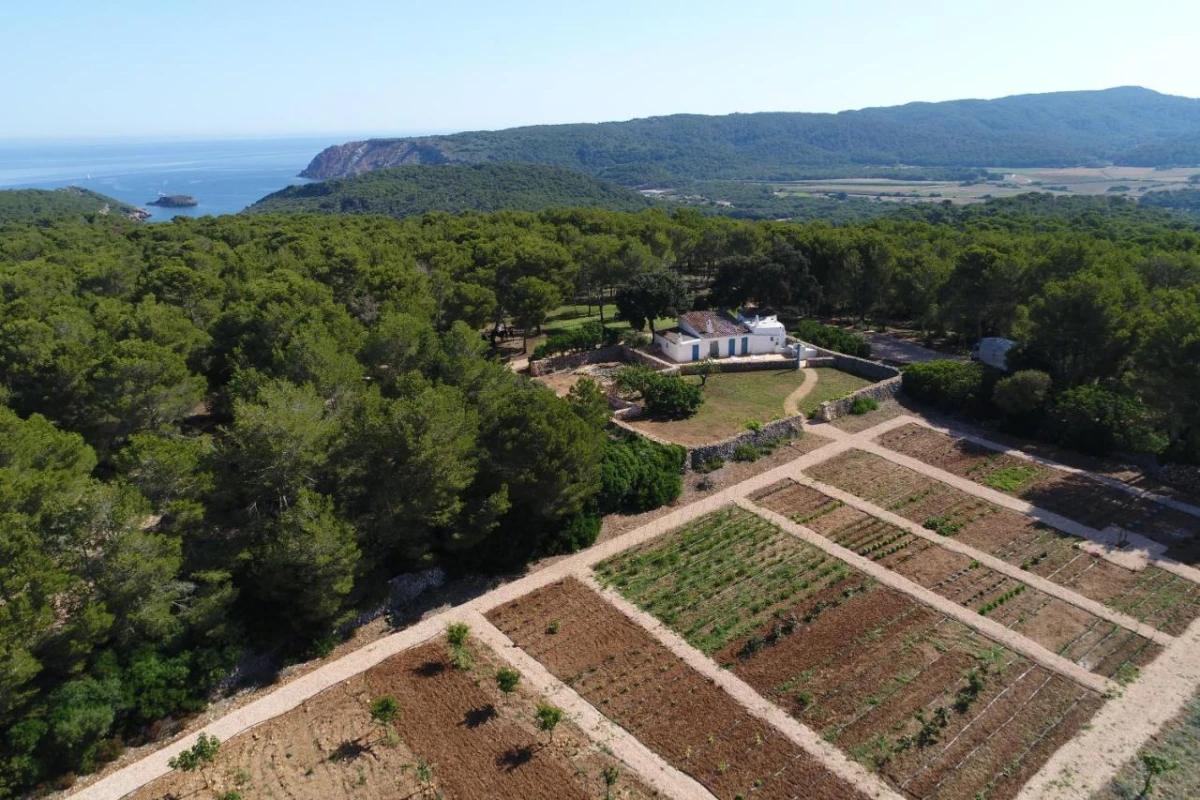 Faustino Gran - Hotel Photo 34