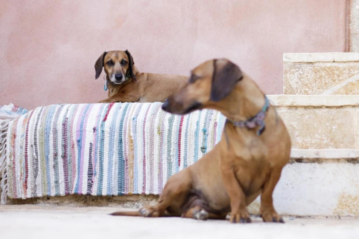 The Merchants House - Hotel Photo 5