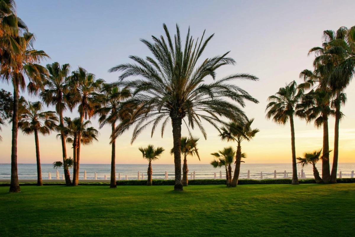 Acanthus Cennet Barut Collection - Hotel Photo 65