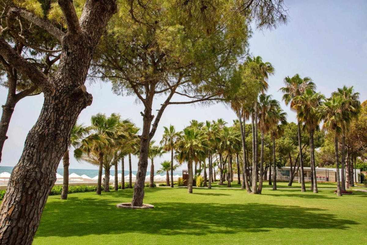 Acanthus Cennet Barut Collection - Hotel Photo 74