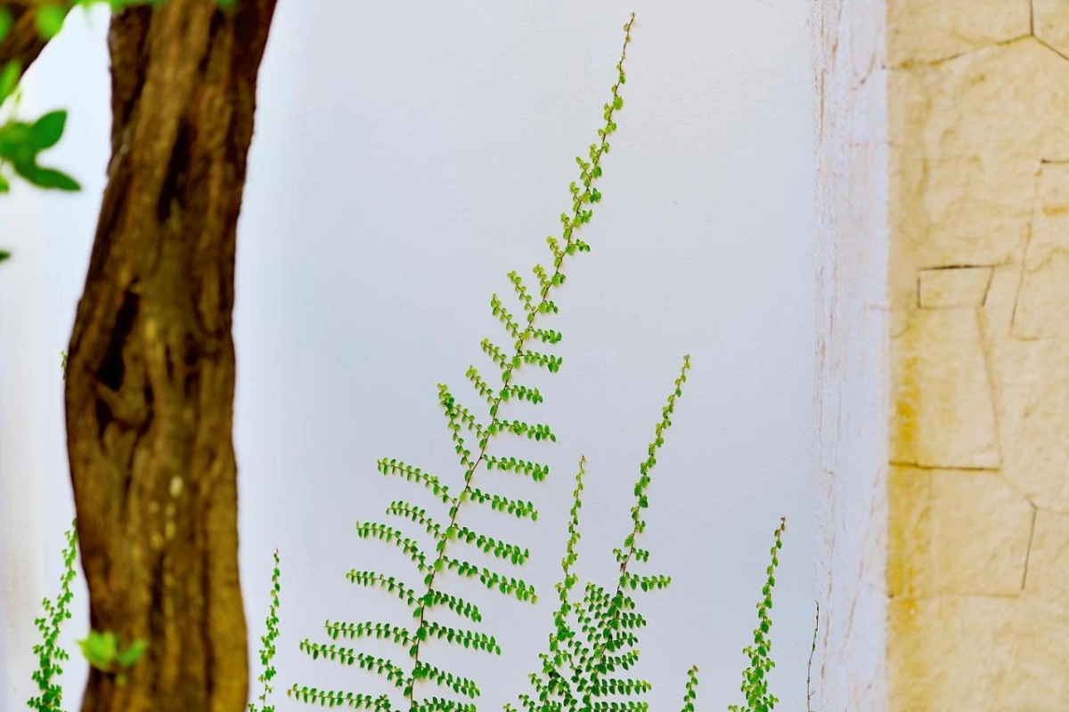 Tago Tulum By G Hotels - Hotel Photo 71