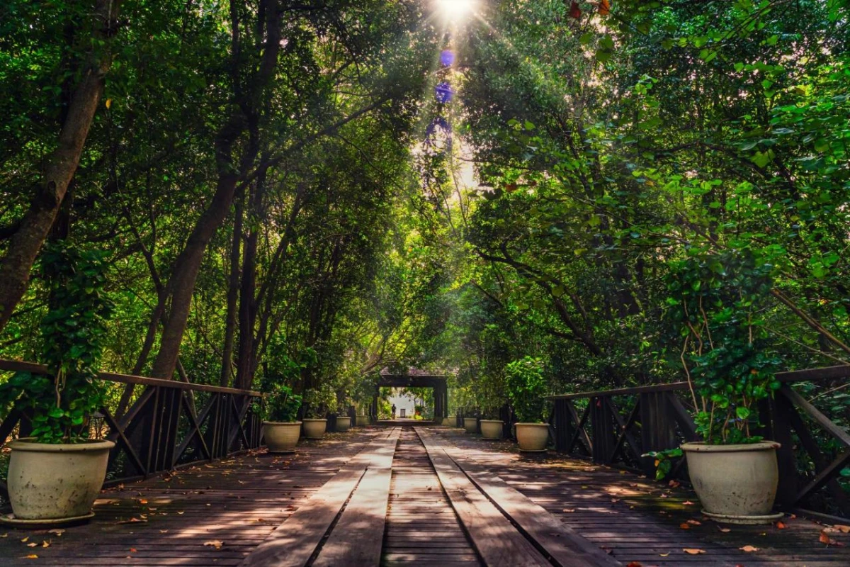 Rebak Island Resort & Marina - Hotel Photo 19