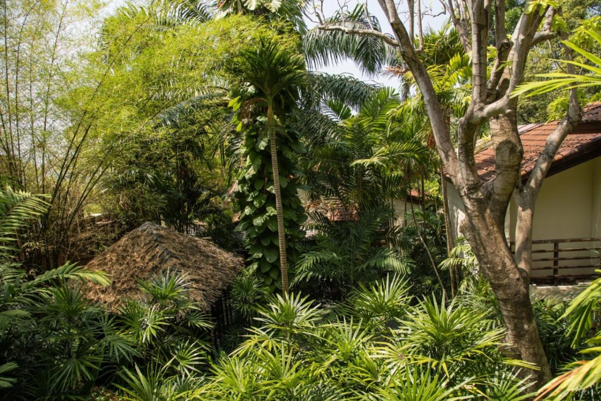 Garrya Tongsai Bay Samui - Hotel Photo 59