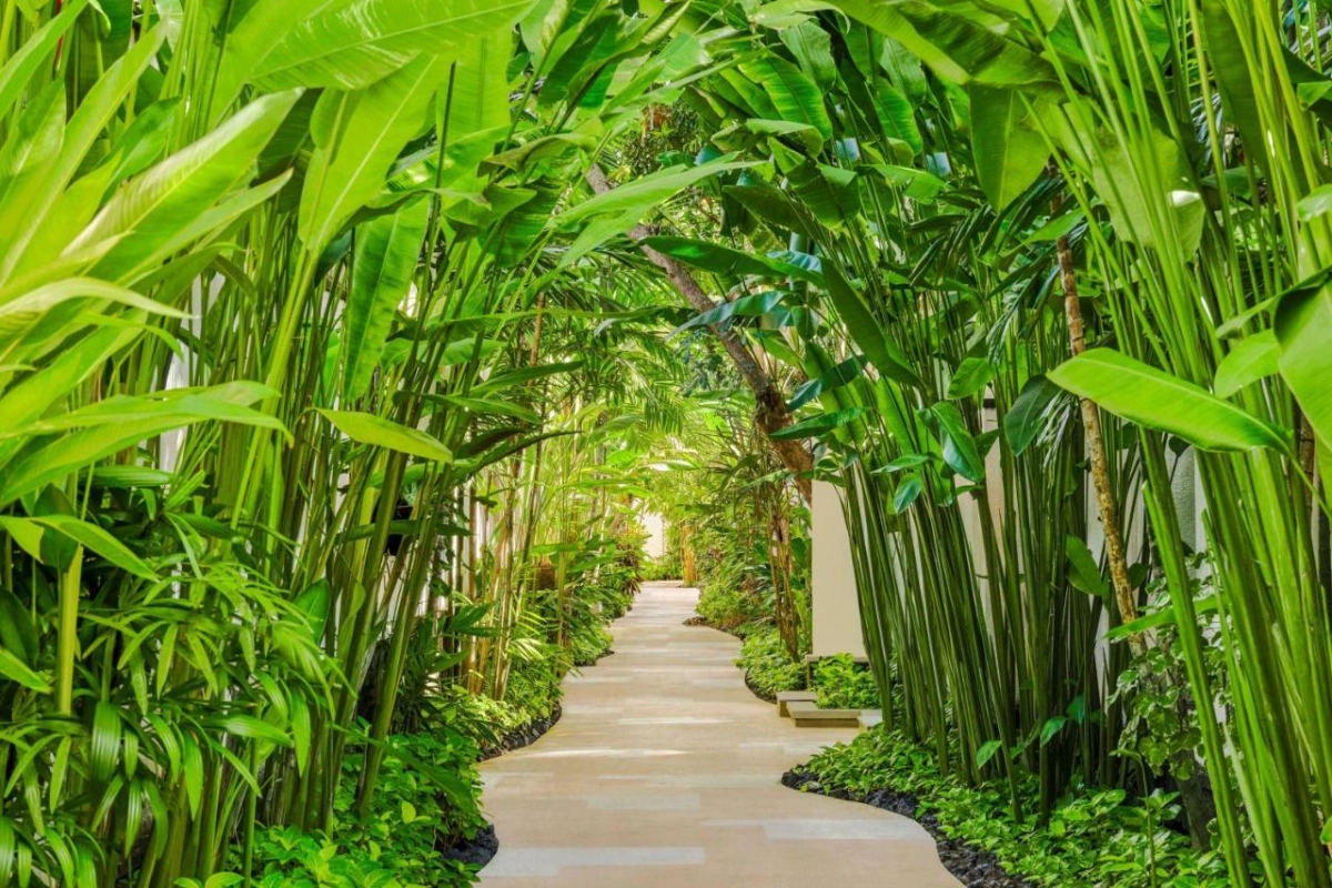 Amarterra Villas Resort Bali Autograph Collection - Hotel Photo 16