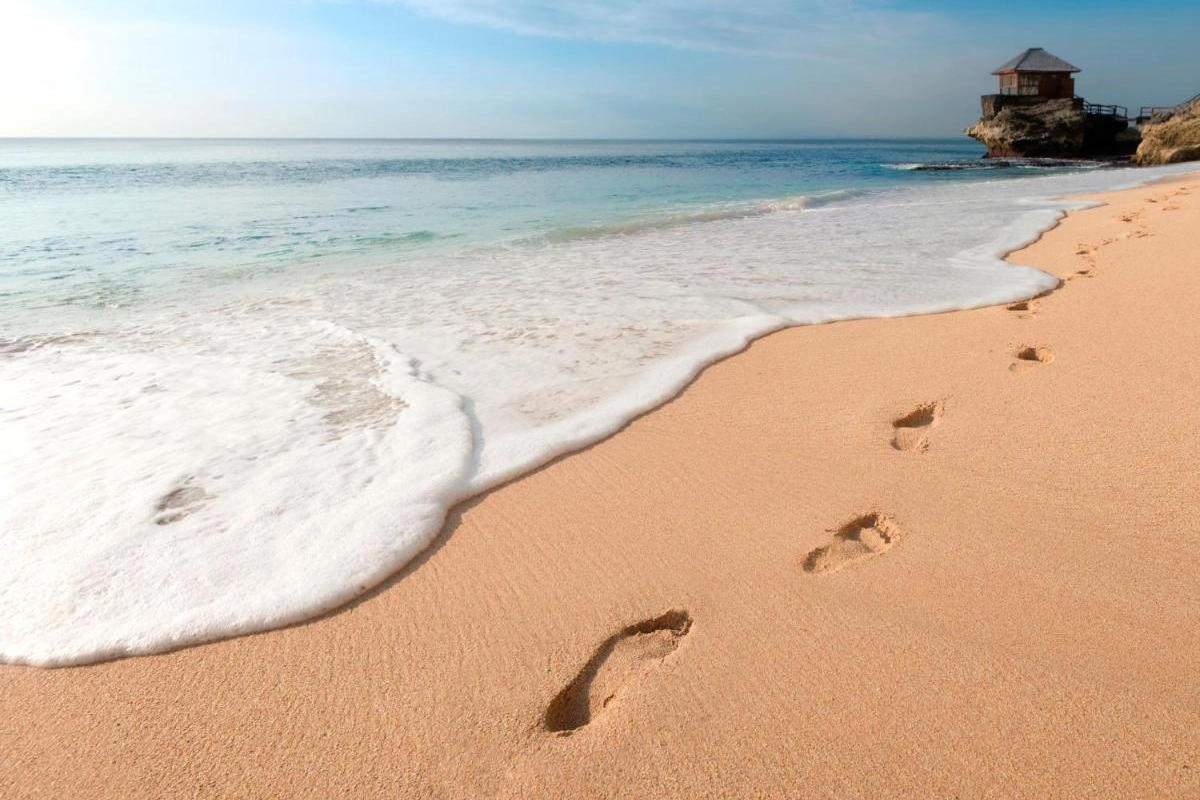 Rimba By Ayana Bali - Hotel Photo 4