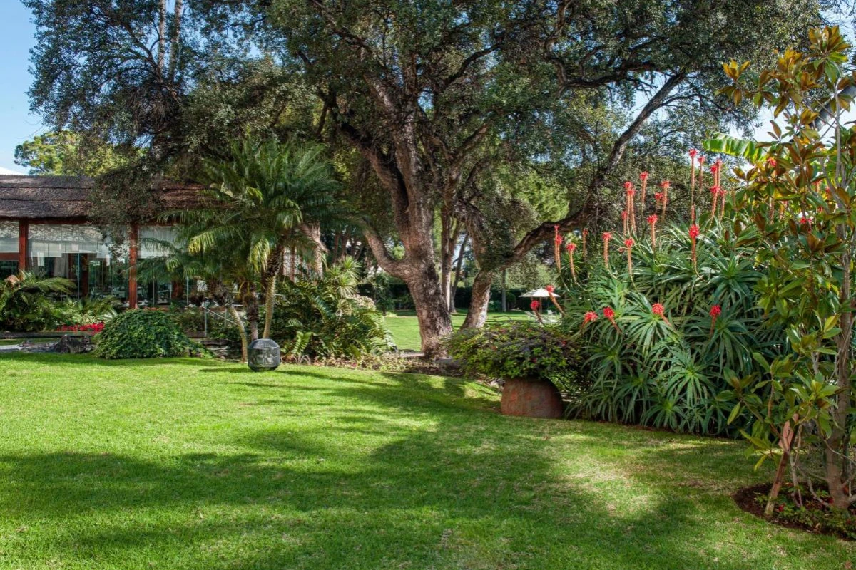 Hotel Don Pepe Gran Melia - Hotel Photo 24