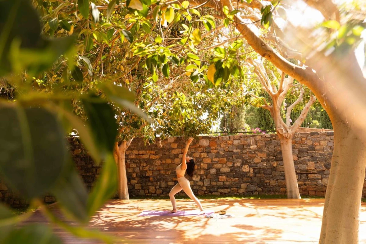 Phaea Blue - Hotel Photo 75