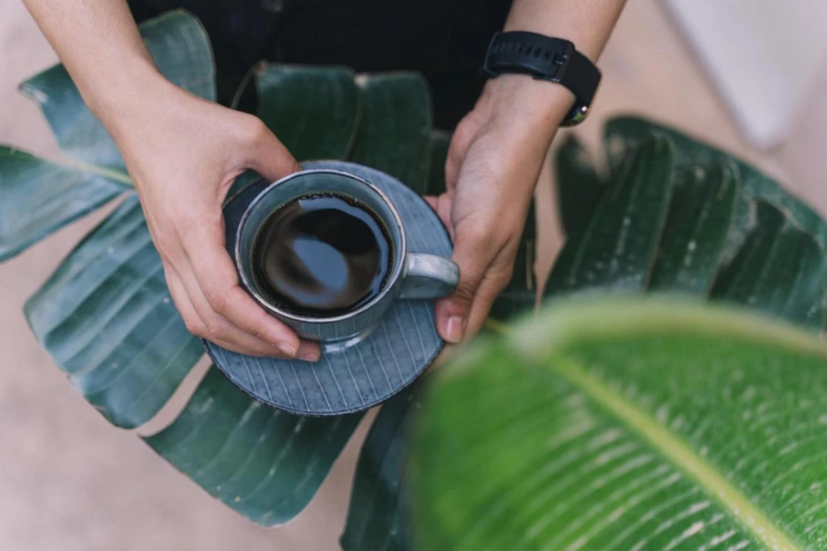 The Nest Resort - Hotel Photo 28