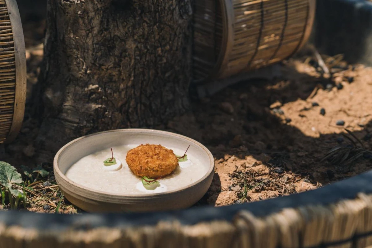 The Nest Resort - Hotel Photo 44