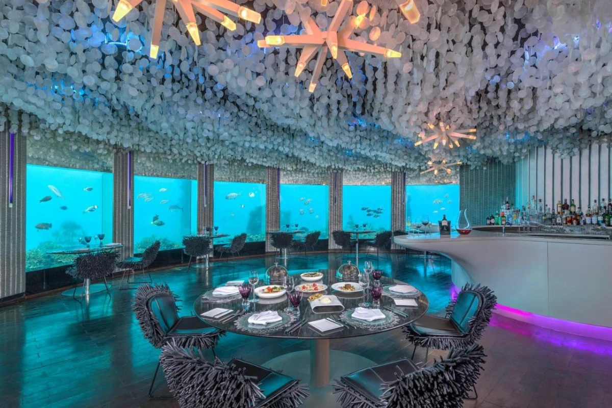 Niyama Private Islands - Hotel Photo 19